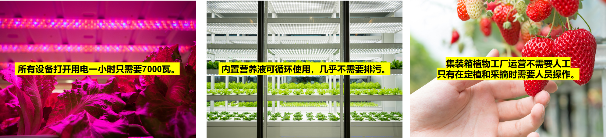 水肥一體化 水肥一體化