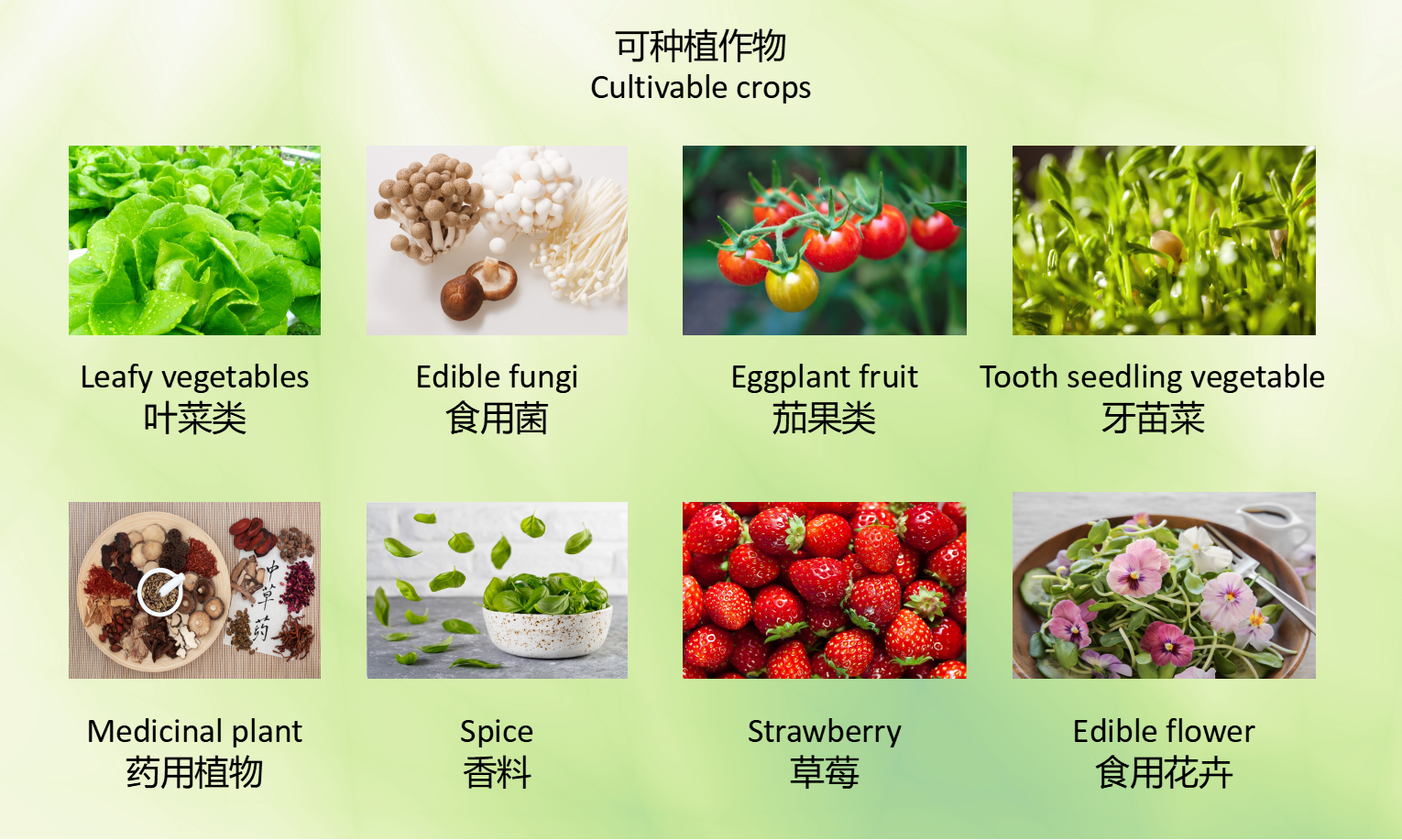 水肥一體化 水肥一體化